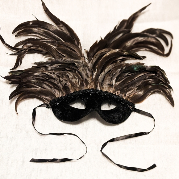 Black Velvet & Chocolate Brown Mask with Feathers - Picture 6 of 6